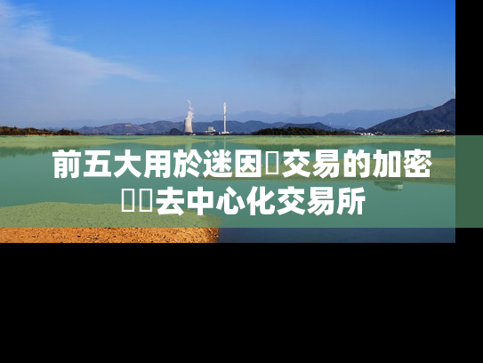前五大用於迷因幣交易的加密貨幣去中心化交易所