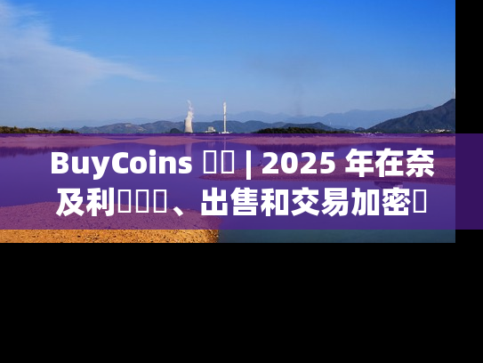 BuyCoins 評測 | 2025 年在奈及利亞購買、出售和交易加密貨幣
