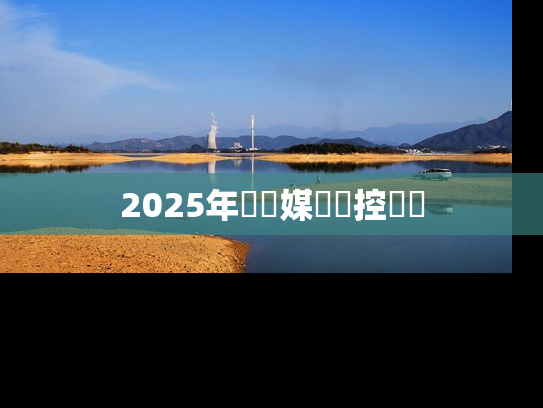 2025年頂級媒體監控軟體