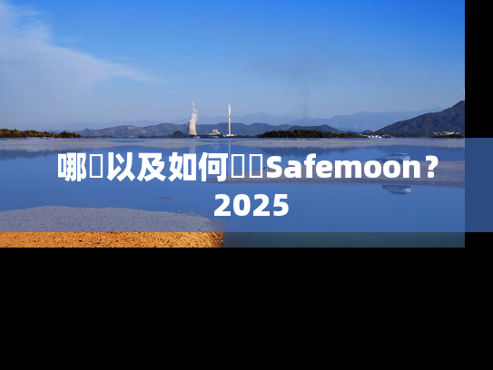 哪裡以及如何購買Safemoon? 2025