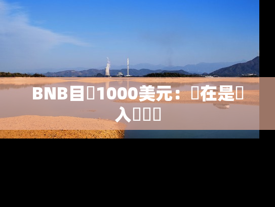 BNB目標1000美元：現在是買入時機嗎