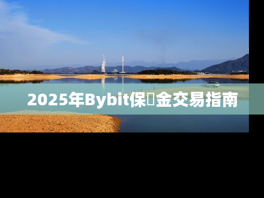 2025年Bybit保證金交易指南
