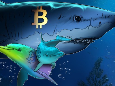 比特幣「鯊魚」囤積速度創2012年以來新高，市場分歧加劇